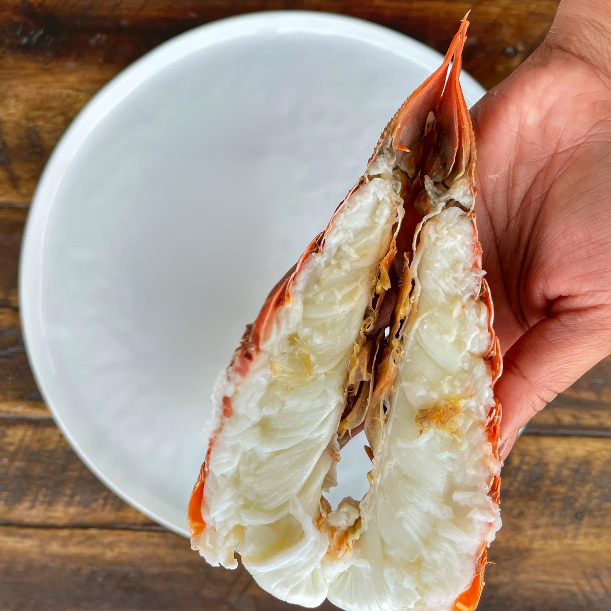 Bright, sweet cold-water lobster