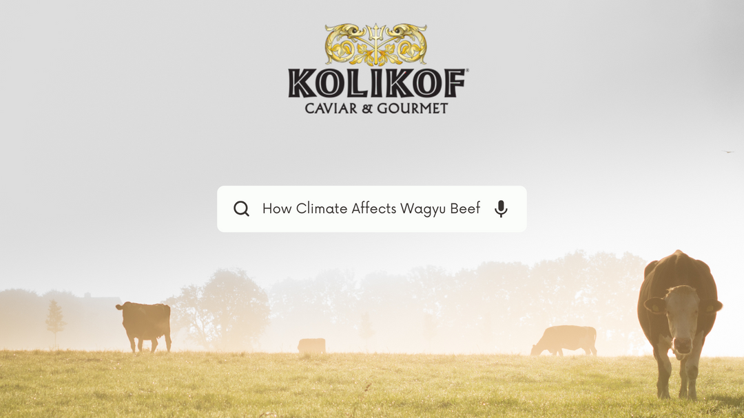 How the Climate Affects the Quality of Wagyu Beef