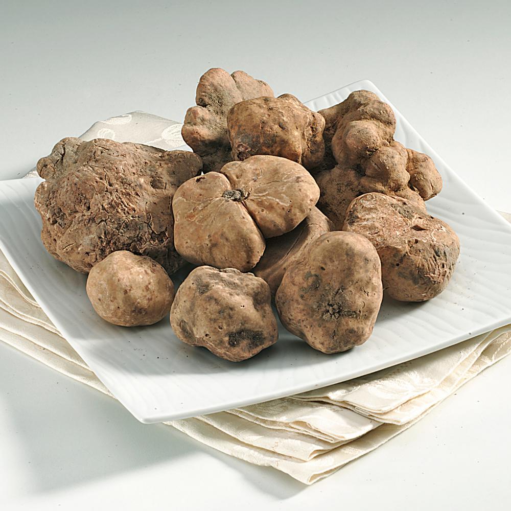 Fresh Truffles