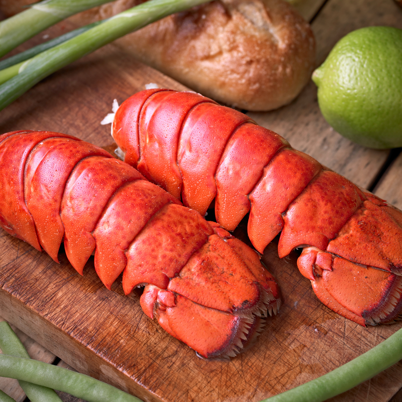 Large Maine Lobster Tails (5 - 10oz.)