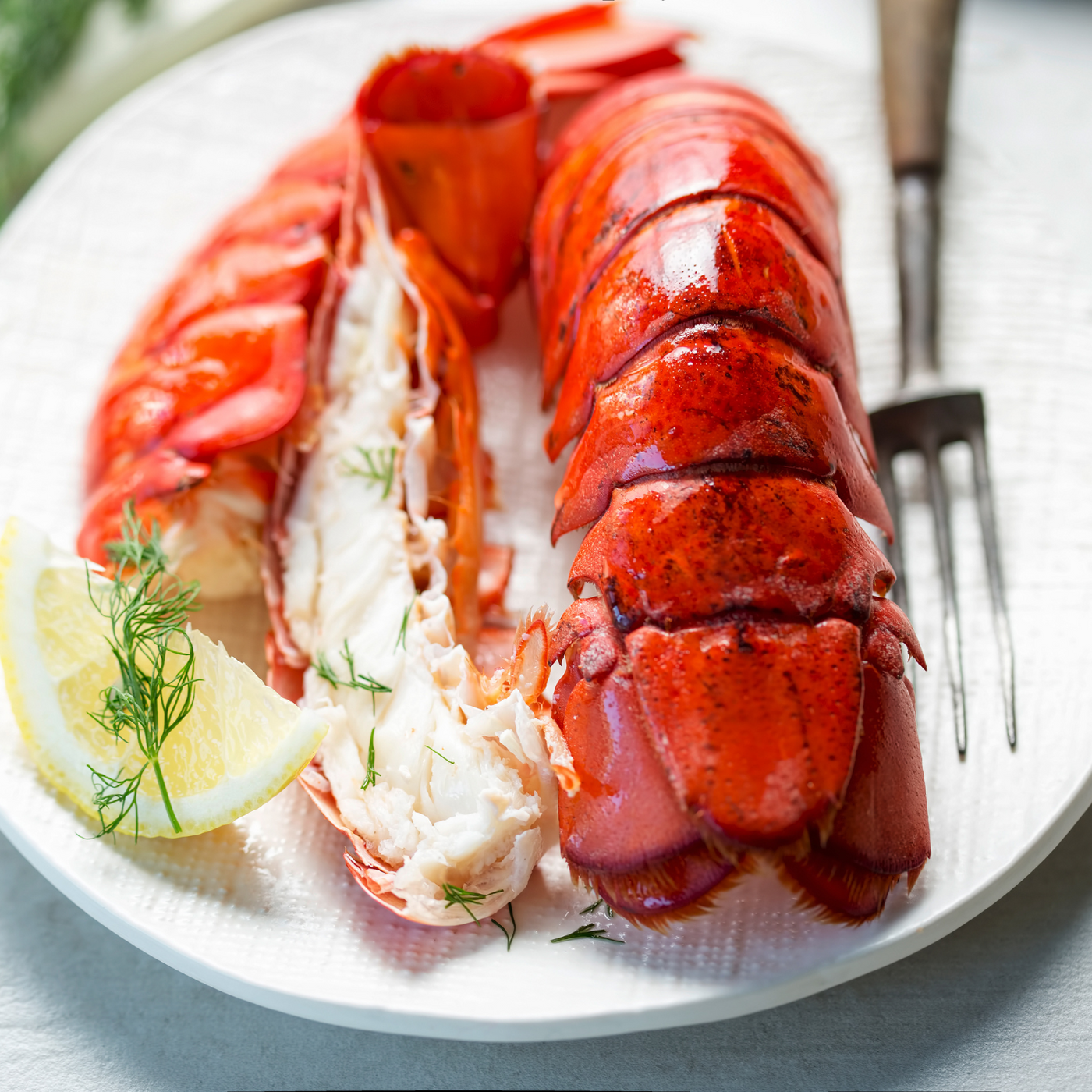 Large Maine Lobster Tails (5 - 10oz.)