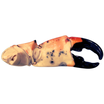 Mega Stone Crab Claws (3 - 18lbs.)