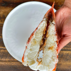 South African Lobster Tail (1 pc)