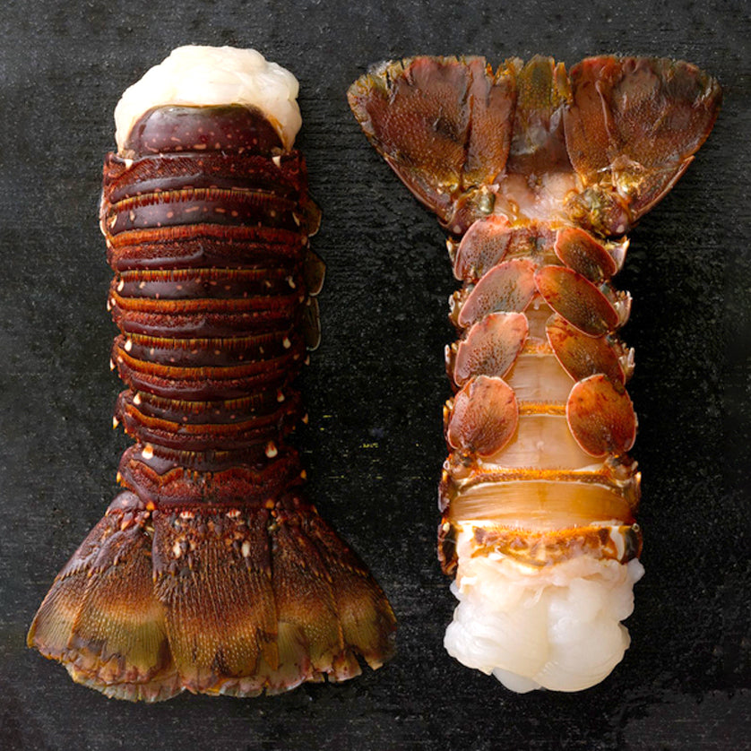 Australian Lobster Tails (10oz. - 28oz.)