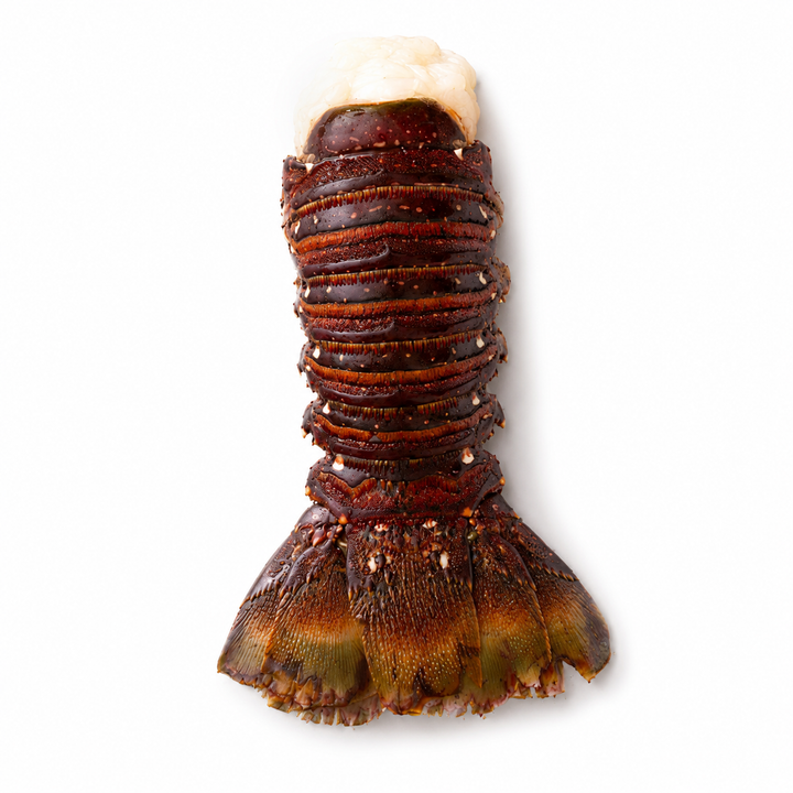 Australian Lobster Tail (1 Tail)