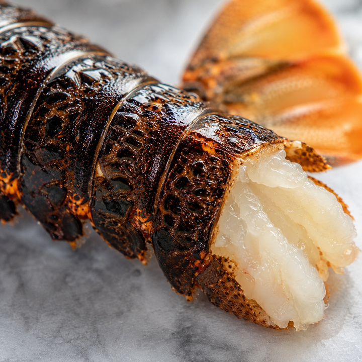 Tristan Lobster Tail (1 Tail)