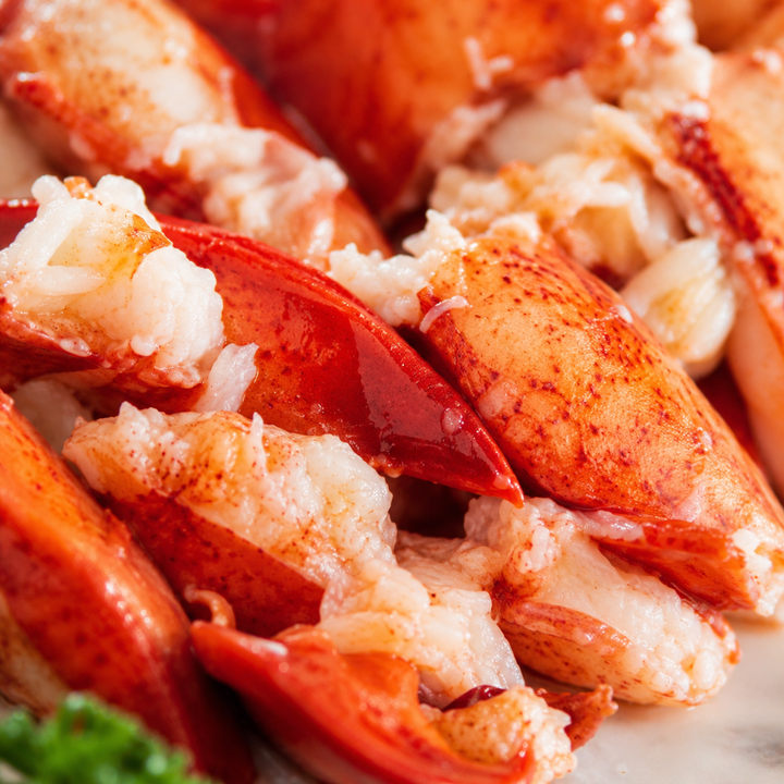 Claw and Knuckle Lobster