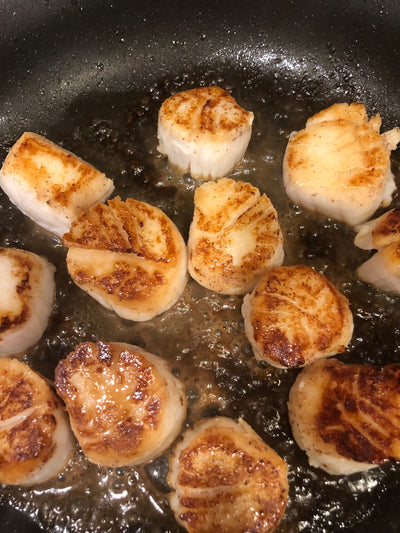 Sea Scallops - Maine & Nantucket (1lb.)