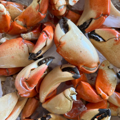 Jumbo Stone Crab Claws (3 - 18lbs)