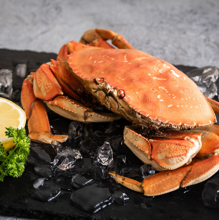 Whole Pre-Cooked Dungeness Crab