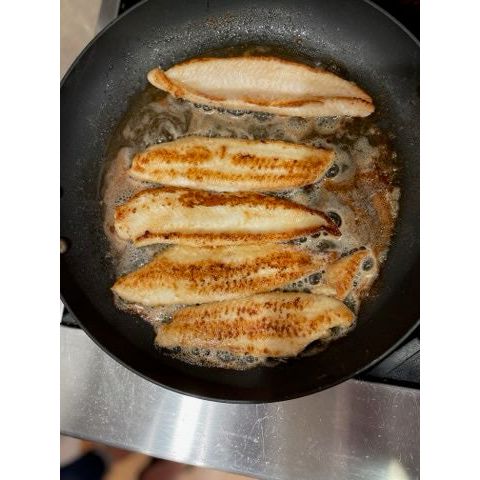 Dover Sole - Fillets Wild