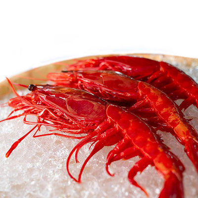 Spanish Red Carabineros Jumbo Prawns (2.2lbs)