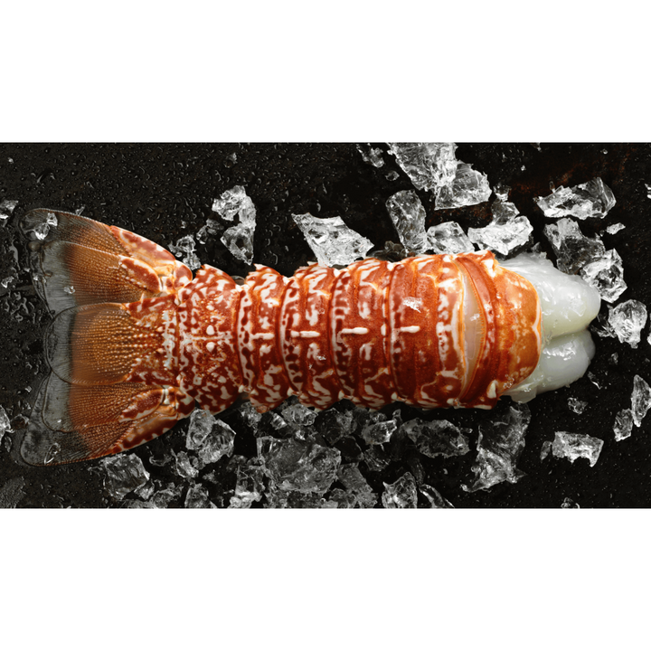 South African Lobster Tail (1 pc)