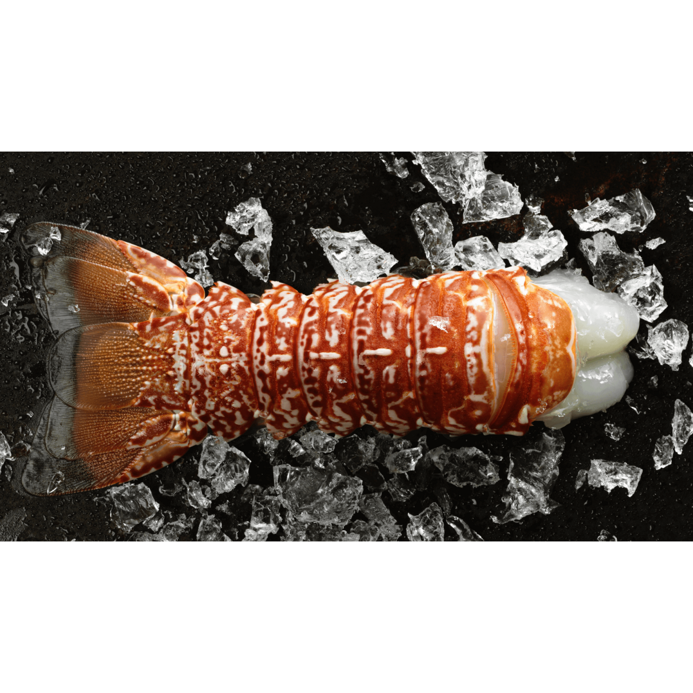 South African Lobster Tail (1 Tail)