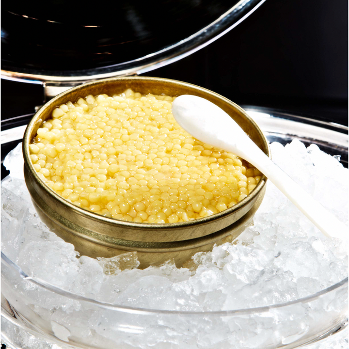 White Albino Caviar