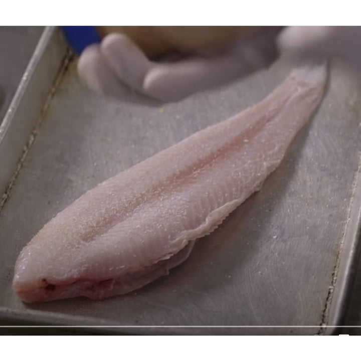 Dover Sole - Whole - Kitchen Ready Wild