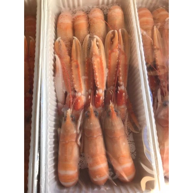 Langoustines/Scampi