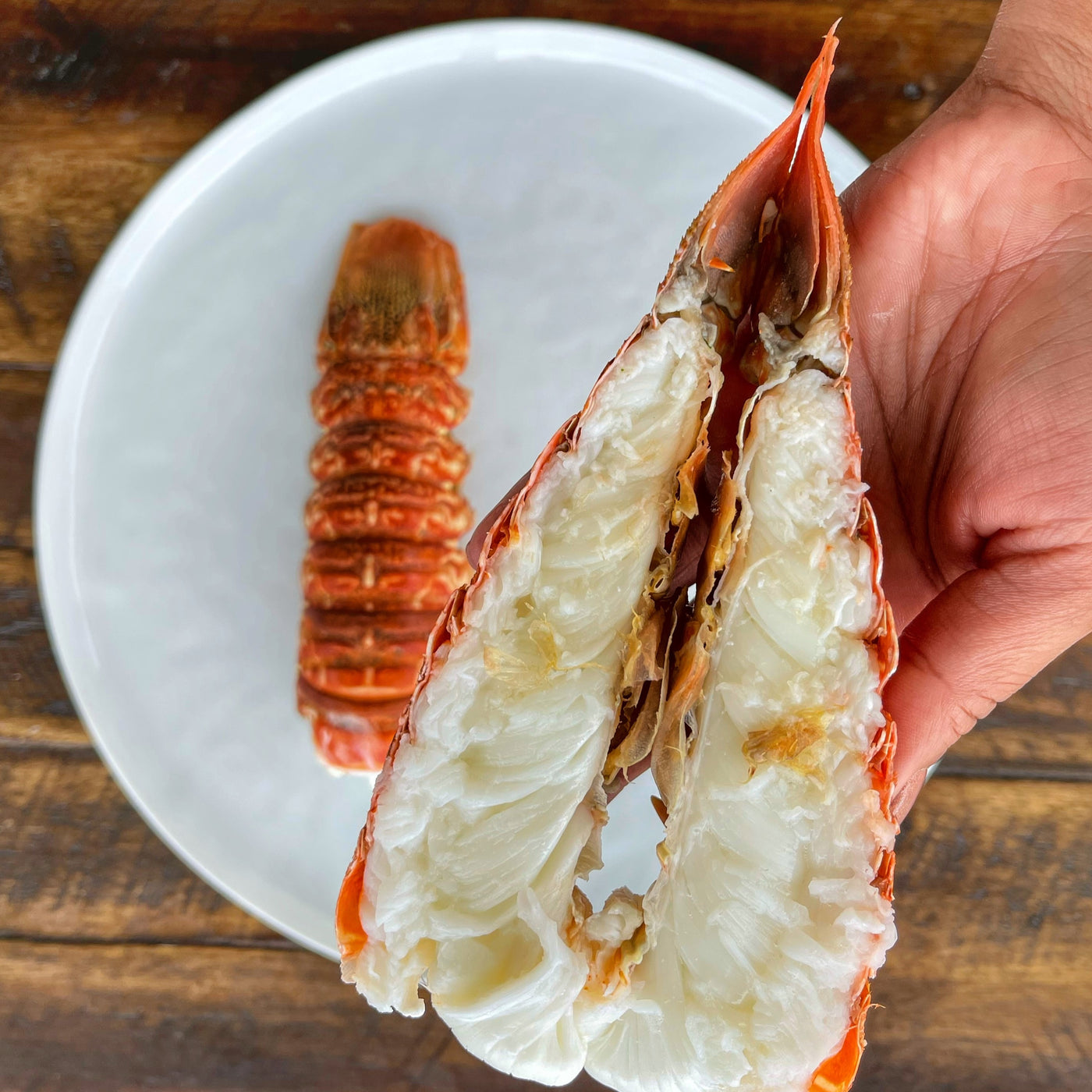 South African Lobster Tail (6-8oz & 8-10oz.)