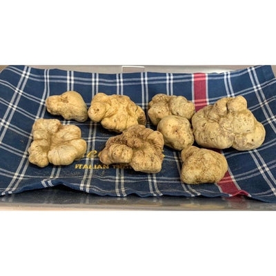 White Italian Truffles (Tuber Magnatum Pico)